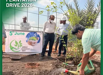 tree-plantation-01