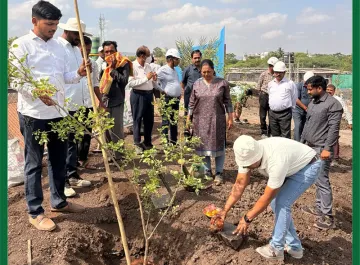 tree-plantation-02
