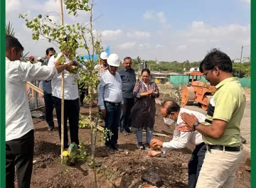 tree-plantation-03