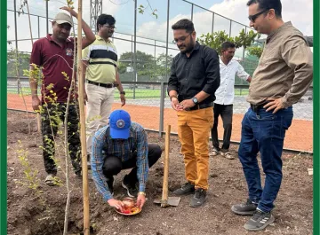tree-plantation-04