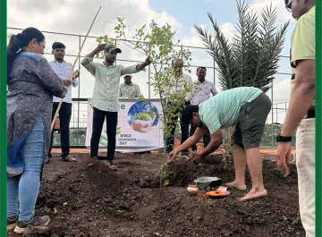 tree-plantation-05