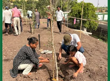 tree-plantation-06