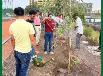 tree-plantation-07