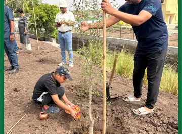 tree-plantation-08
